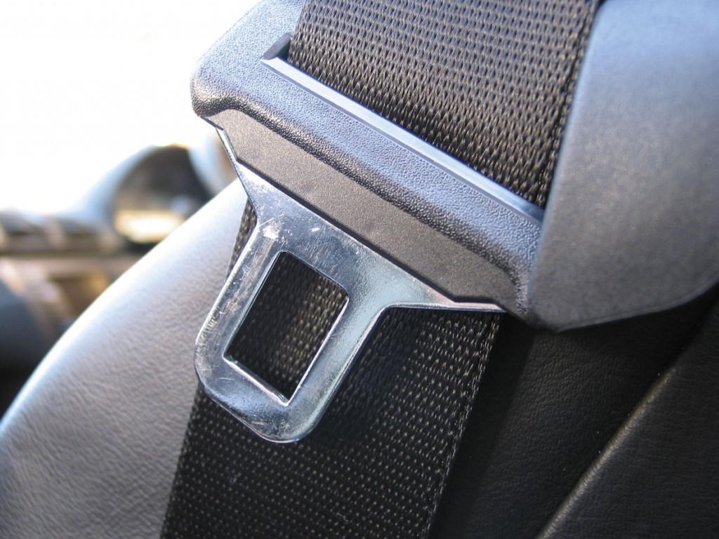 Seat Belt with Buckle Image
